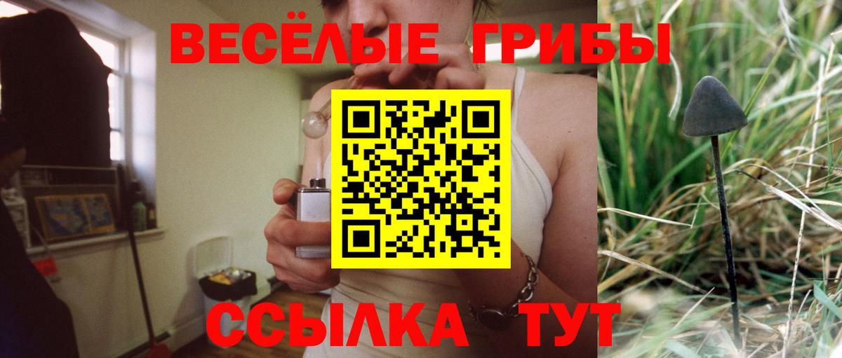 Балтийск  Псилоцибиновые грибы мухоморы  Вход с VPN 